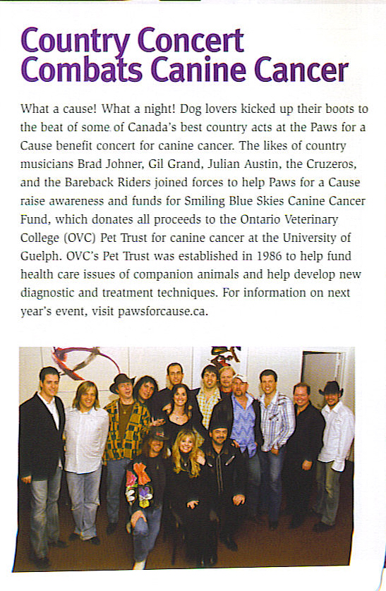 Country Music Concert